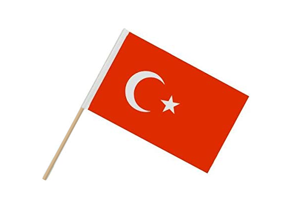 Sopalı Türk Bayrağı Bidolubaskı'da