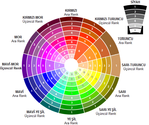 Renklerin uyumu cetveli